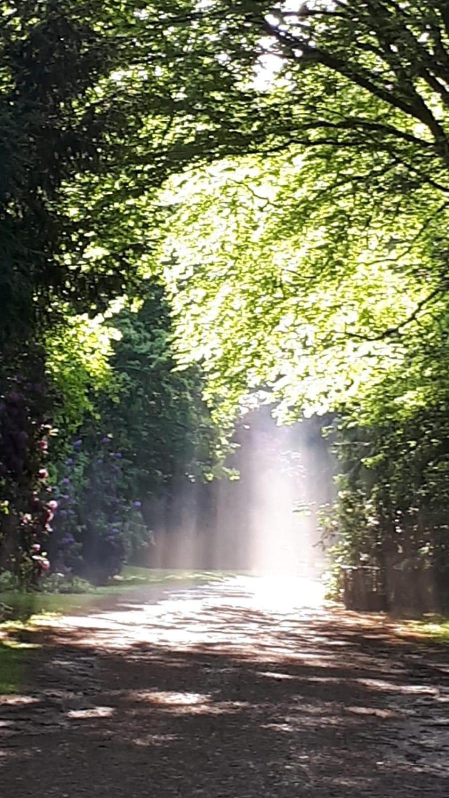 Altmarkblick Erbenhausen Esterno foto