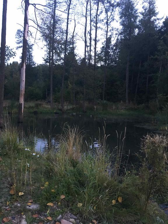 Altmarkblick Erbenhausen Esterno foto